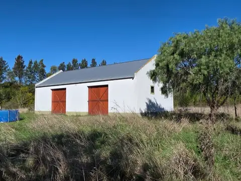 al 100