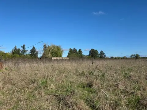 Finca - La Plata