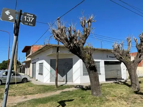 137 y 524 - CASA   3 LOCALES 100