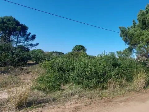 Avenida Uruguay, casi calle Bella Vista 100