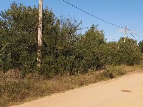 Terreno en Venta de 316,0 m2