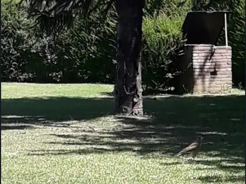 Casa en Venta 35 años