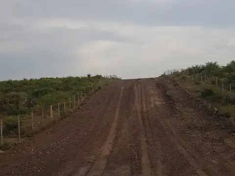 Ruta 9 Km 22
