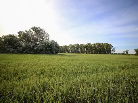 Terreno en Venta de 3197,0 m2