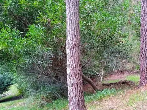 LOTE RESIDENCIAL UNIFAMILIAR EN MAR DE LAS PAMPAS