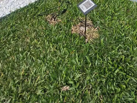 Piso a estrenar con terraza y parrilla!