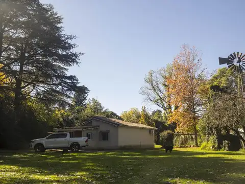 VIRREY VERTIZ al 200