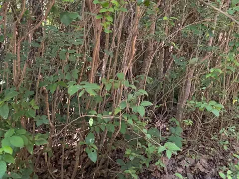 Terreno en Venta en Las Rabonas, USD 55.000