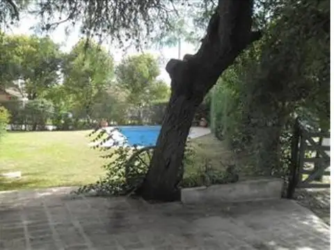 Los Patos 100