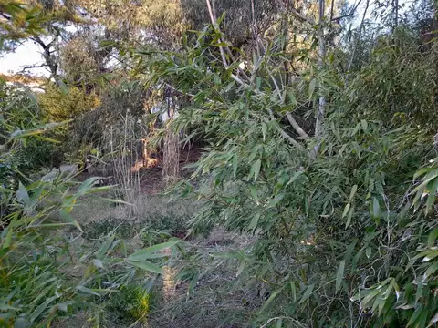 Terreno en Venta, FOS 3