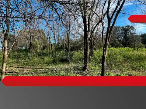 Terreno en Venta en Los Molles, USD 25.000