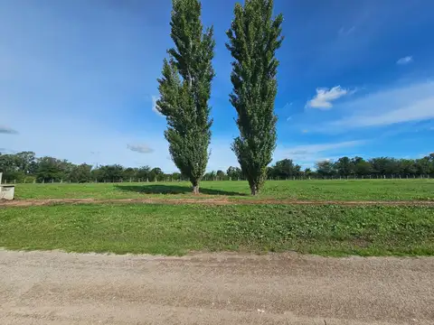 Terreno en Venta 40  mts Frente