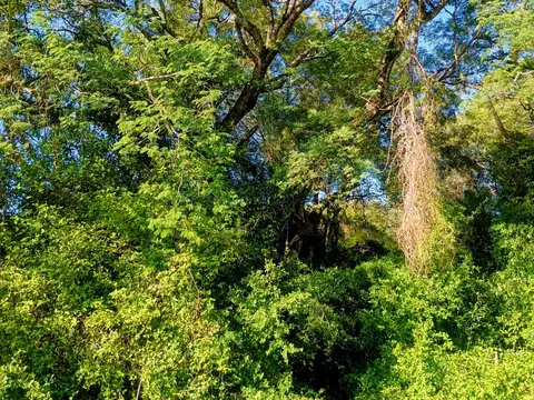 Quinta en Venta 5 años