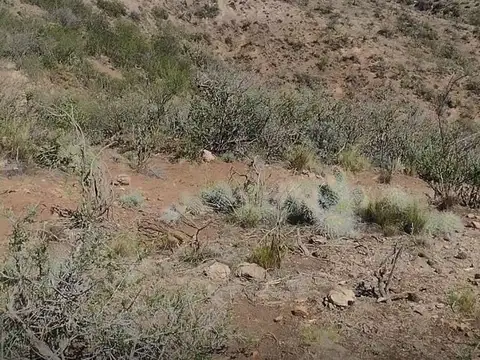 Venta de lotes en Cacheuta, Mendoza