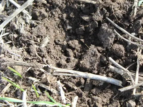 Campo en Venta de 113  ha