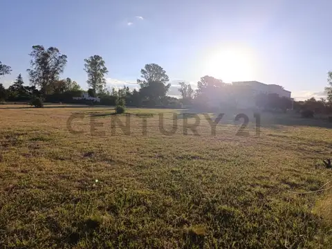 Terreno en Venta de 10000,0 m2