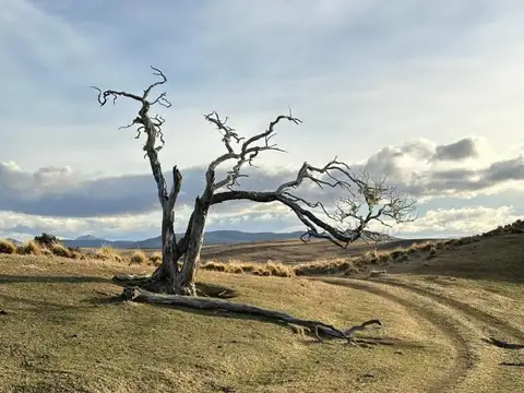 Campo en pre cordillera Fueguina, Dto de Tolhuin (10.000 ha)
