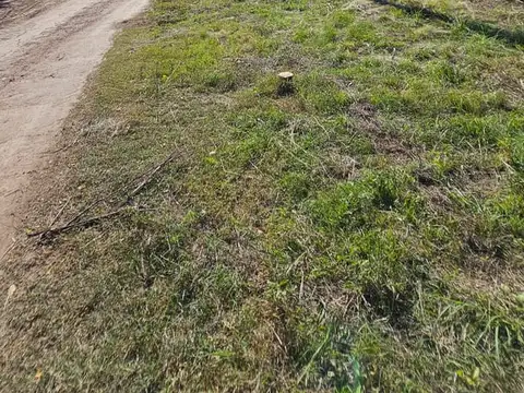Terreno en Venta de 505,0 m2