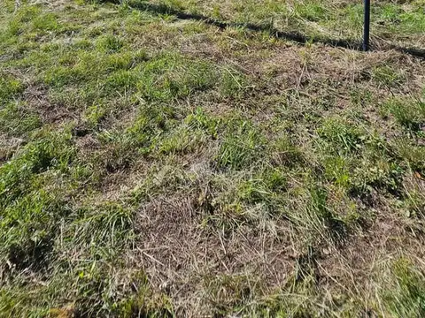 Terreno en Venta 28  mts Frente