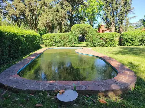 Los Tilos 100