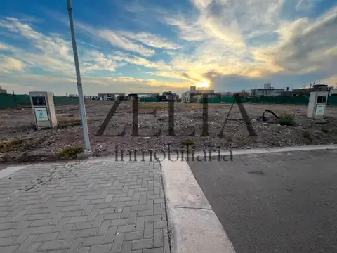 Terreno en Venta 29  mts Fondo