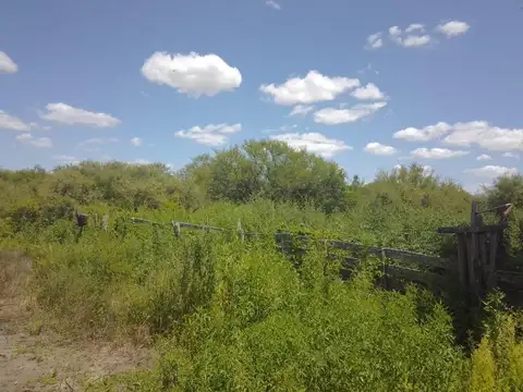Campo en Venta de 24,90  ha