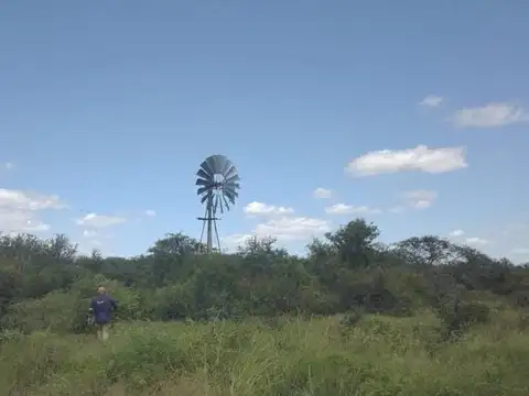 Ruta 2