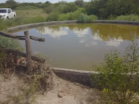 ALQUILER O VENTA CAMPO GANADERO LA CABRAL SAN CRISTOBAL