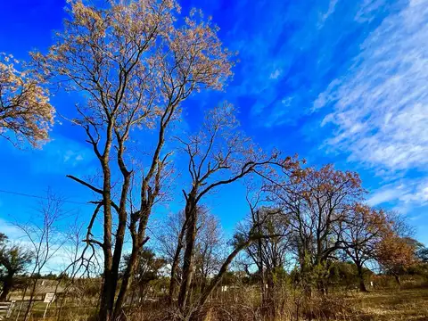 2182  LOTE SEXTO LOTEO.