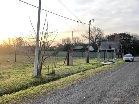 Rita De Ibarlucea  150