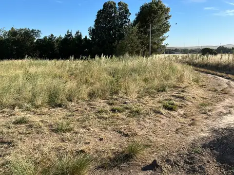Terreno en Venta 40  mts Fondo