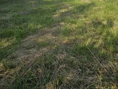 EXCELENTE LOTE EN DOMSELAAR SOBRE LA RUTA 210