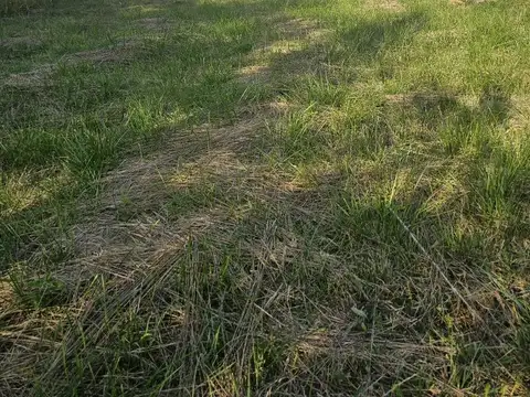 EXCELENTE LOTE EN DOMSELAAR SOBRE LA RUTA 210