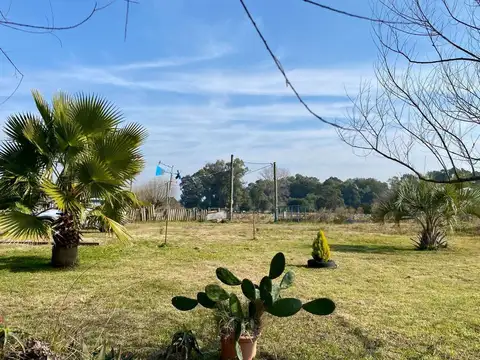 Venta Chacra Casa  Los Cerrillos 1.5 HA con Renta