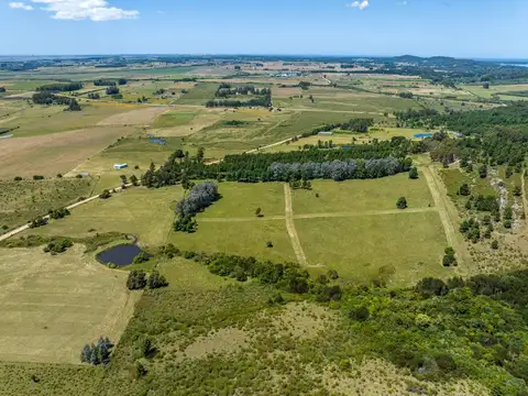 Chacra en venta de 7,8 has. en Laguna del Sauce