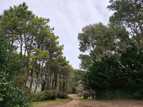 Casa en Alquiler Temporal con 3 cocheras