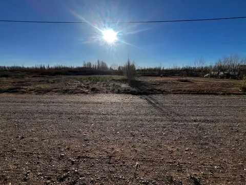 ALTOS DE SENILLOSA 100