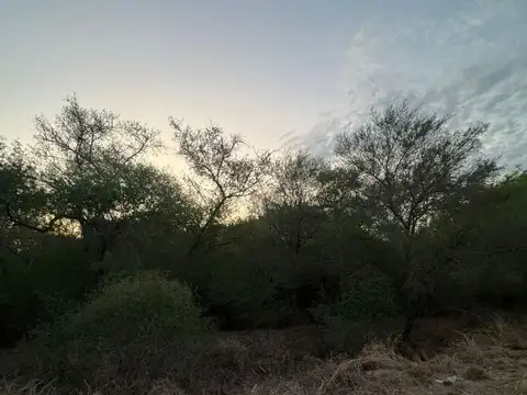 Venta de Lotes en Santa Teresa – Paraje Cardozo