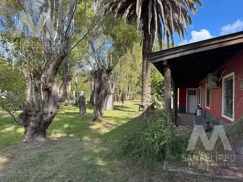 Casa Quinta / Chacra  de 2 hectáreas en venta con Pileta en  Ranchos - Alegre