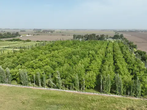 Campo en Venta Agricola