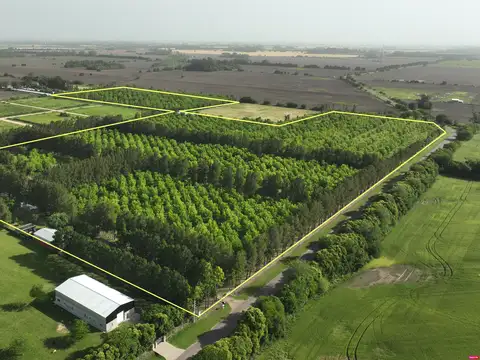 Campo en Venta de 20  ha