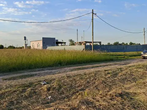 Terreno - Venta - Argentina, Domselaar