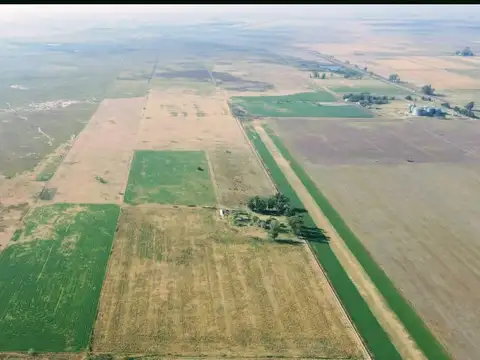 46 mixtas has  - Diaz