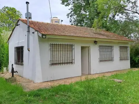 Calchaquies 1100