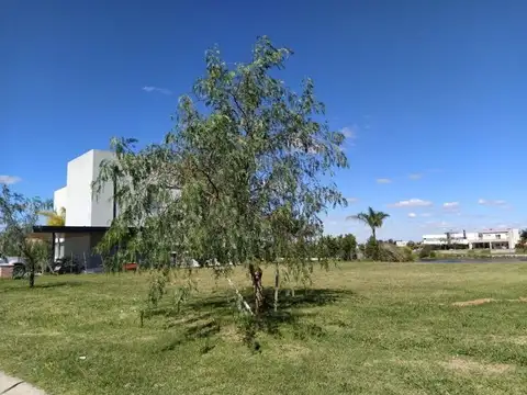 Terreno en Venta de 925,0 m2