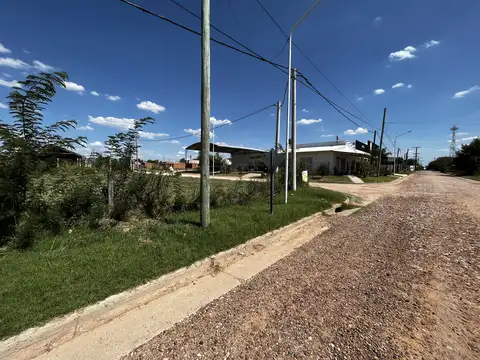 Julian Herrera  500