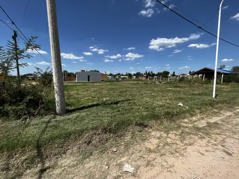 Julian Herrera  500