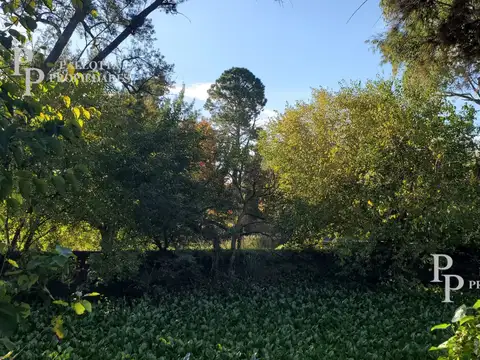 Lote en Dique con más de 100 metros de costa sobre canal navegable