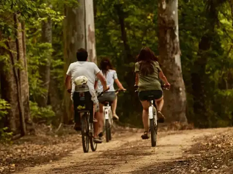 Terreno en Venta en Puertos - Barrio Nativas, USD 140.000