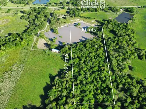 Campo en venta con acceso a laguna en Puerto Tirol – 2 hectáreas